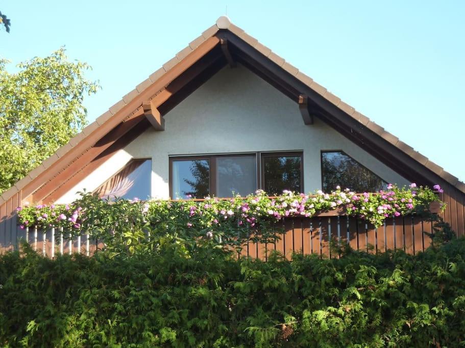 Ferienwohnung Am Stadtrand Von Berlin Neu Buch Exteriör bild
